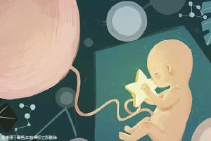 关于丹韵生殖